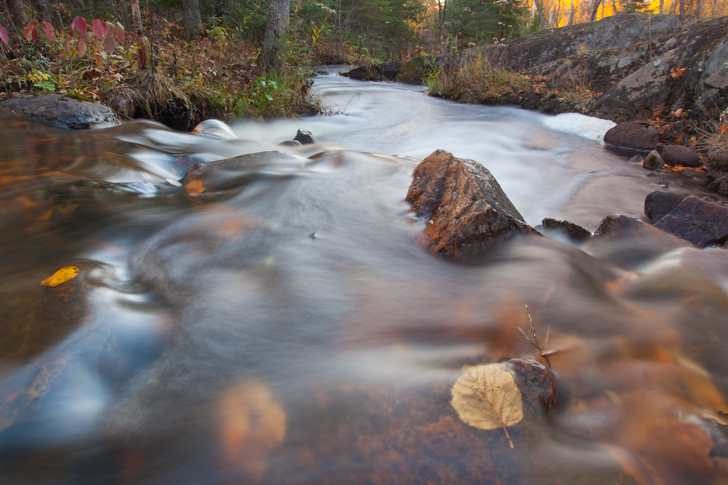 NG5D_041010_4599