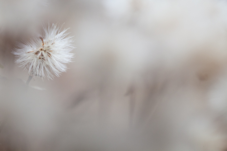 NG5D_121010_7612