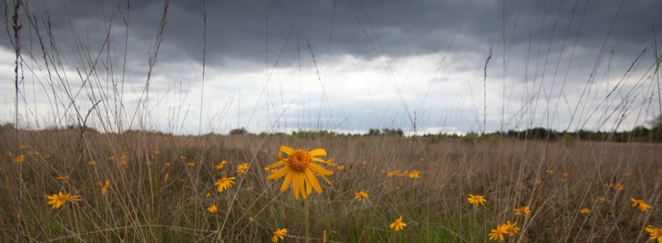 090605_NG5D_2840