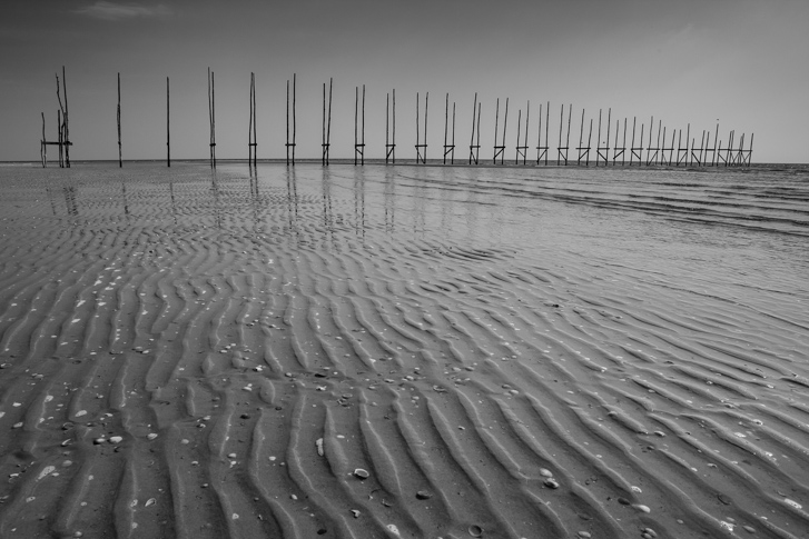 NG1D_080408_2327