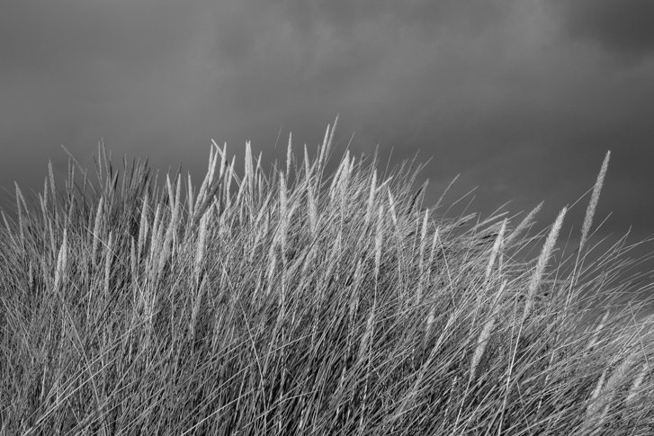 NG5D_091013_8133