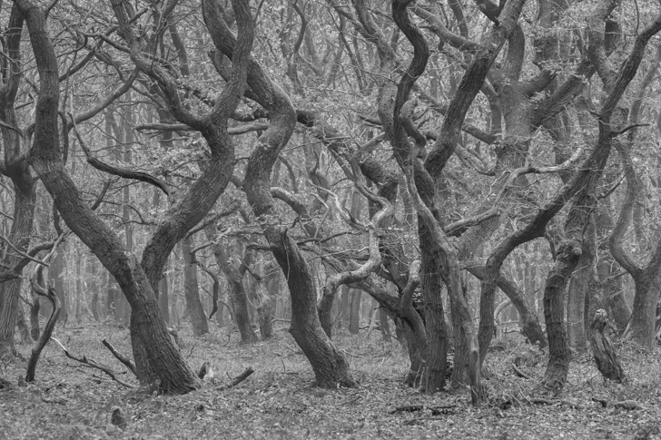 NG5D_091030_8792