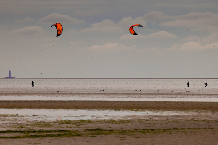 NG5D_100903_3787