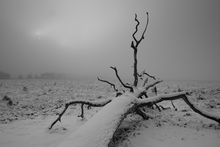 NG_090108_7582