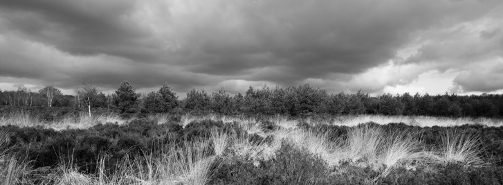 NG_090329_0279