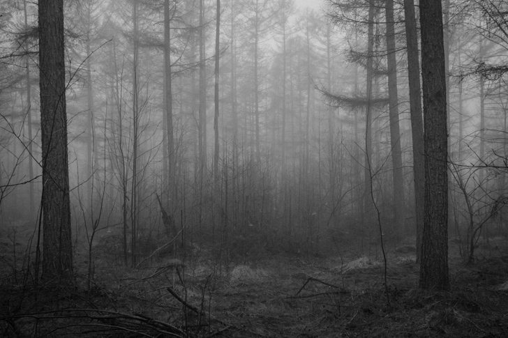 NG_110323_0777_5D