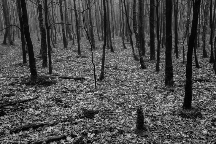 NG_110323_0787_5D