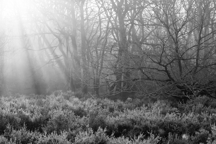 NG_110329_0927_5D