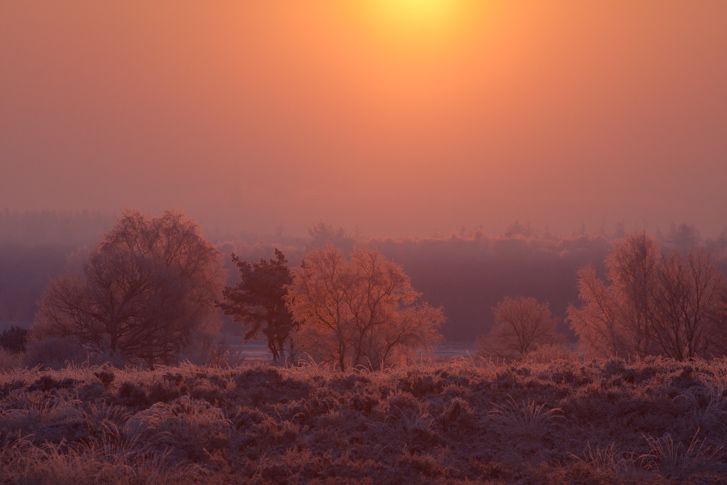NG_120204_6116_5D