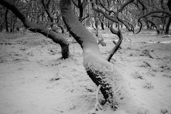 NG_121208_4943_5D